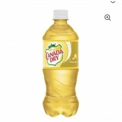 Exotic Pop Canada Dry Pineapple Soda